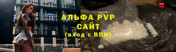 ГАЛЛЮЦИНОГЕННЫЕ ГРИБЫ Покачи
