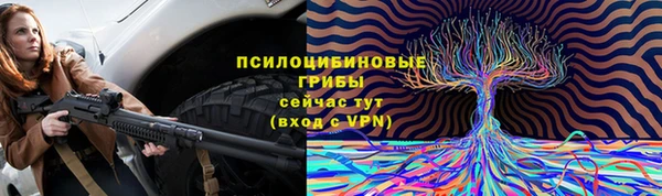 ГАЛЛЮЦИНОГЕННЫЕ ГРИБЫ Покачи