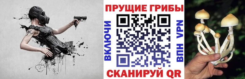Псилоцибиновые грибы Psilocybine cubensis  Усолье 